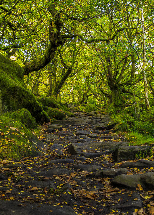 Padley Gorge